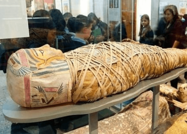 埃及考古学家留下一件遗物<strong></p>
<p>卡特币</strong>，一开始以为是赝品，其实它是真正宝贝