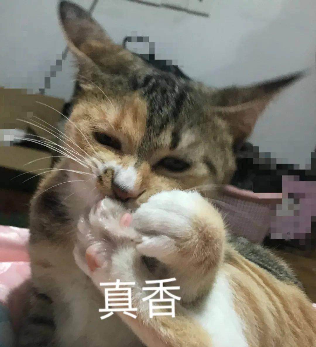 100元红包<strong></p>
<p>响币</strong>！使用无需满减！宁波又一地发放数字人民币红包啦！