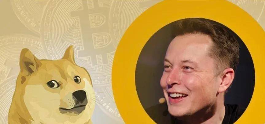 狗狗币的路为啥越走越歪<strong></p>
<p>越币1000</strong>？为你讲述狗狗币的前世今生