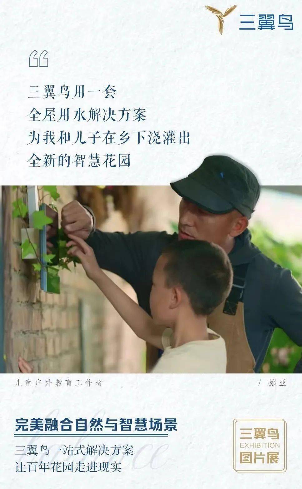 三翼鸟：10000+<strong></p>
<p>三鸟币</strong>，10000+
