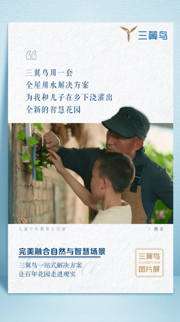 三翼鸟图片展