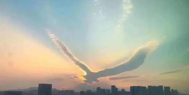 “三鸟进宅门<strong></p>
<p>三鸟币</strong>，不富也添喜”是指哪三种鸟？这是什么意思？