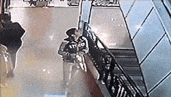 搞笑GIF：锅：我已结网<strong></p>
<p>蛋币网</strong>，蛋是跑不了的