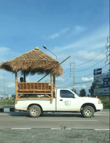 搞笑GIF：锅：我已结网<strong></p>
<p>蛋币网</strong>，蛋是跑不了的