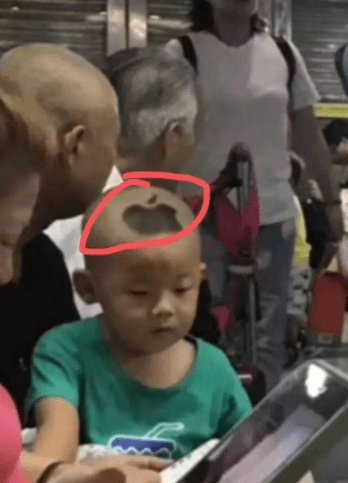 搞笑GIF：锅：我已结网<strong></p>
<p>蛋币网</strong>，蛋是跑不了的