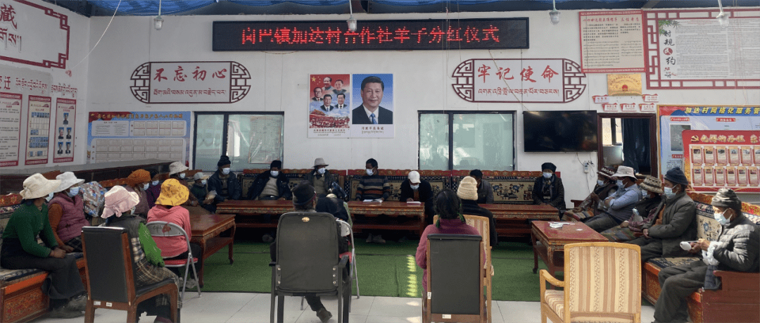 岗巴镇加达村举行2022年度养羊合作社实物分红仪式