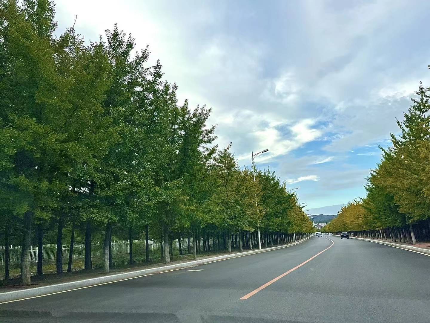 11月10号-11月30号运势上上大吉的生肖