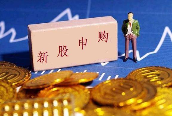 新股云天励飞发行申购<strong></p>
<p>股票总市值</strong>，业绩亏损上市，股民中签会破发吗？