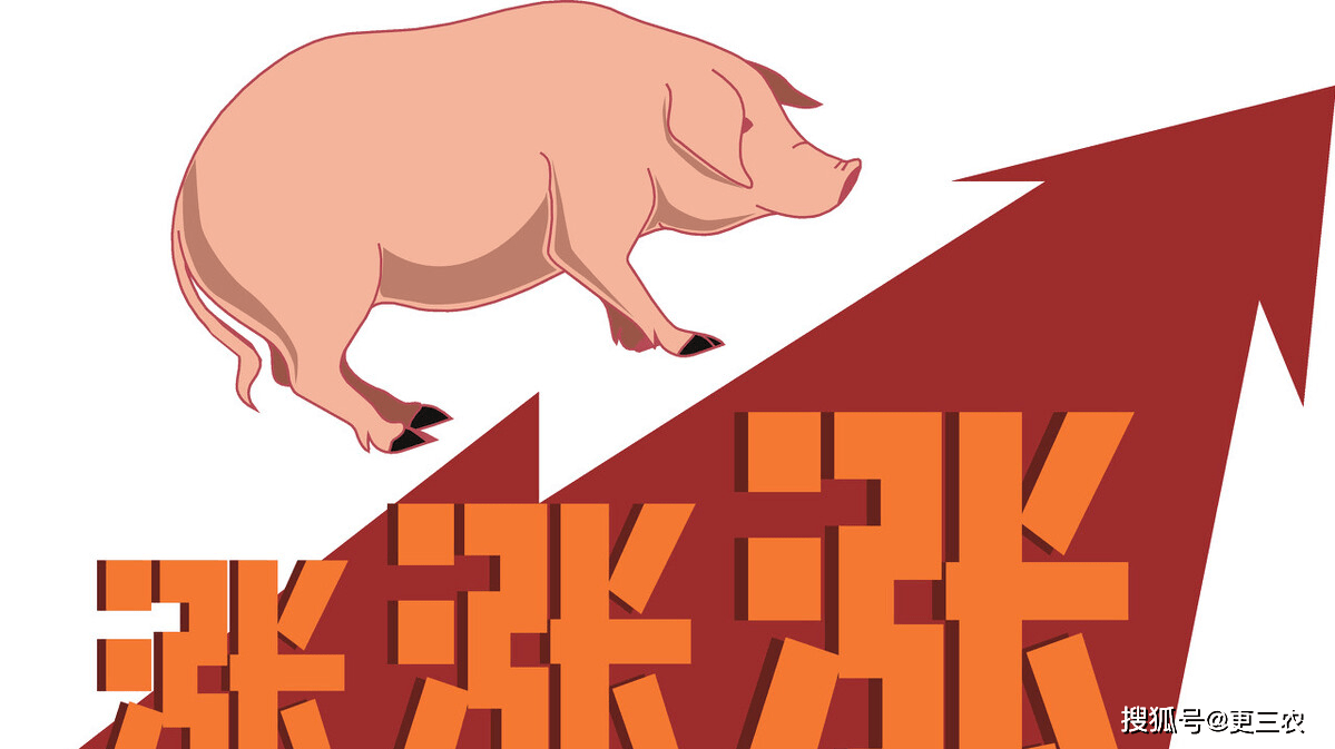 豆粕、生猪预警“倒挂”<strong></p>
<p>汽油价格</strong>，花生行情揪心，汽油价格要涨？发生了啥