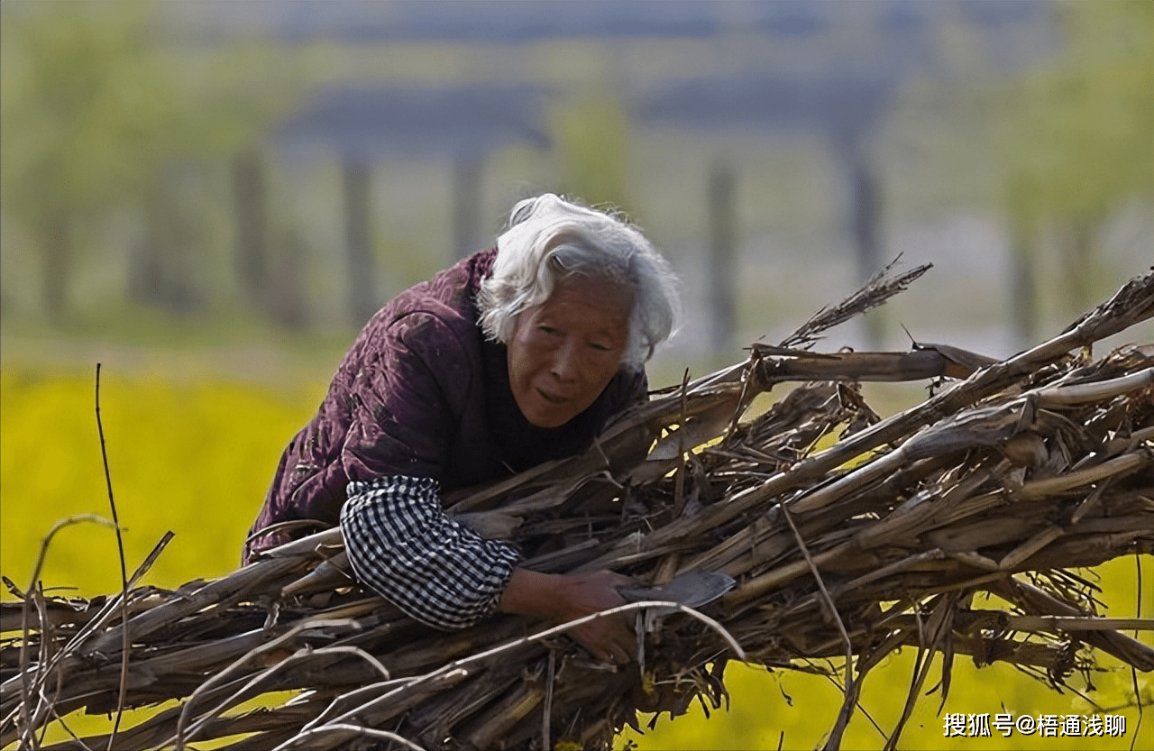 老人保险怎么买<strong></p>
<p>货币怎么买</strong>？还有必要买吗？