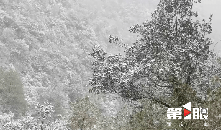 下҈雪҈҈<strong></p>
<p>波场币</strong>，了！重庆多地迎今冬第一场，雪景走一波