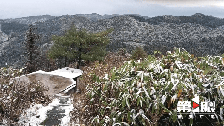 下҈雪҈҈<strong></p>
<p>波场币</strong>，了！重庆多地迎今冬第一场，雪景走一波