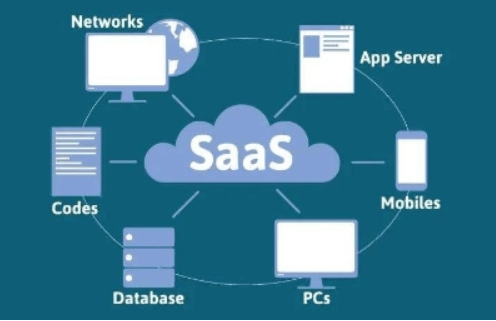 源码开发与SaaS：软件开发领域的两大模式对比