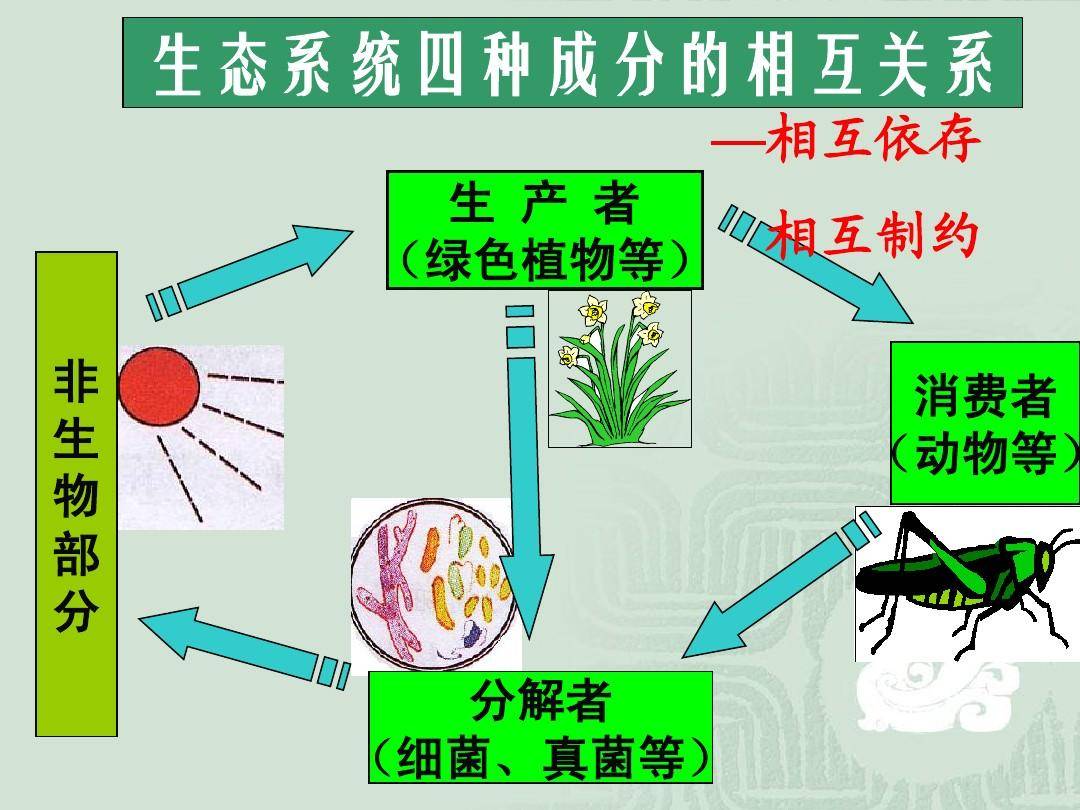 外汇期货交易系统如何建立？怎么建立交易系统？告诉你交易的真相<strong></p>
<p>莱姆币怎么交易</strong>！