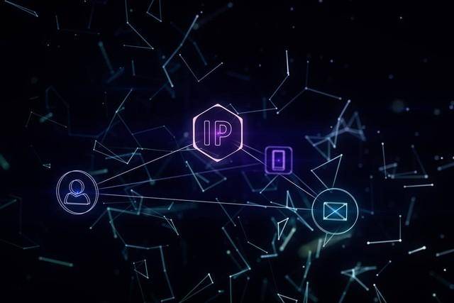 IP地址和其他网络地址有什么区别<strong></p>
<p>ip地址软件</strong>？