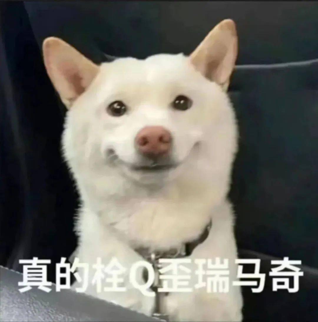 全网被嘲的“沪币”<strong></p>
<p>币币网怎么样</strong>，到底有多贵？
