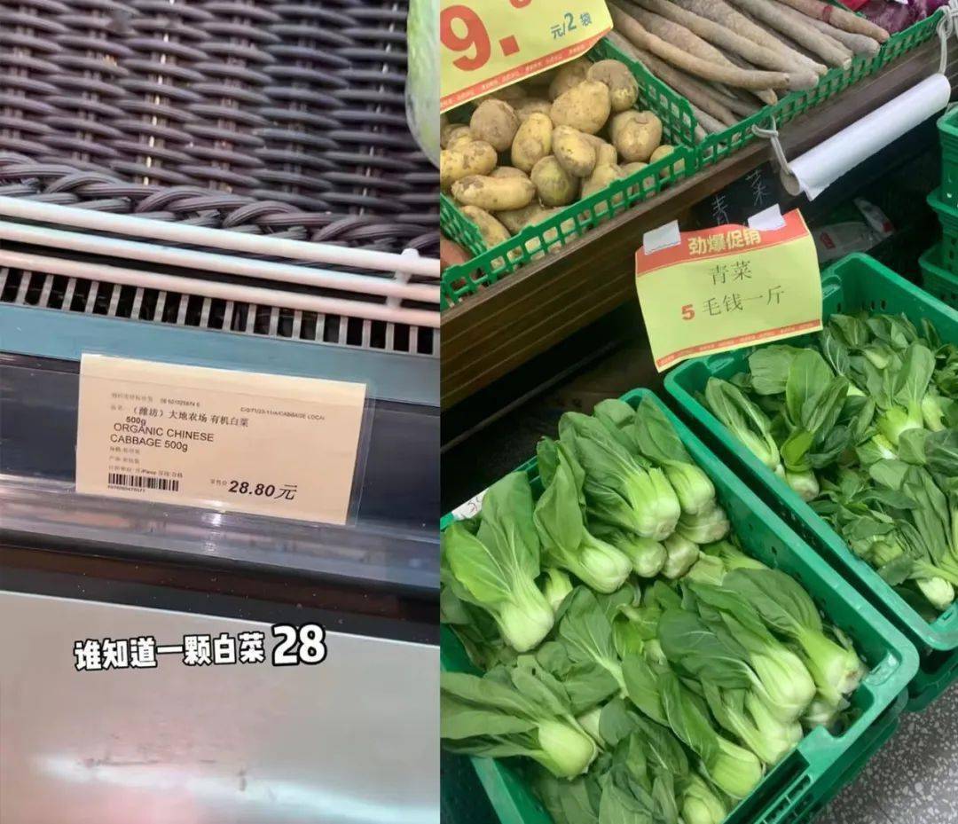 全网被嘲的“沪币”<strong></p>
<p>币币网怎么样</strong>，到底有多贵？