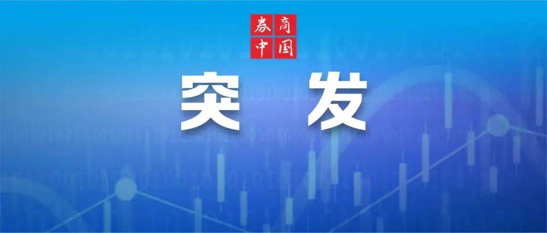 稀土<strong></p>
<p>交易指数</strong>，突发！指数连续上涨7个交易日