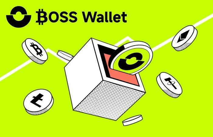 数字货币兴起<strong></p>
<p>币安数字货币</strong>，BOSS Wallet虚拟币引领去中心钱包唯一合法加密资产趋势