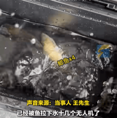 男子在家操控无人机钓鱼<strong></p>
<p>币安ico</strong>，当天就钓上十几条，当事人：不要轻易尝试，已被鱼拉下水十几个无人机