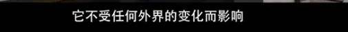 他们那么幸福恩爱<strong></p>
<p>币安网交易平台</strong>，怎么突然离婚了……