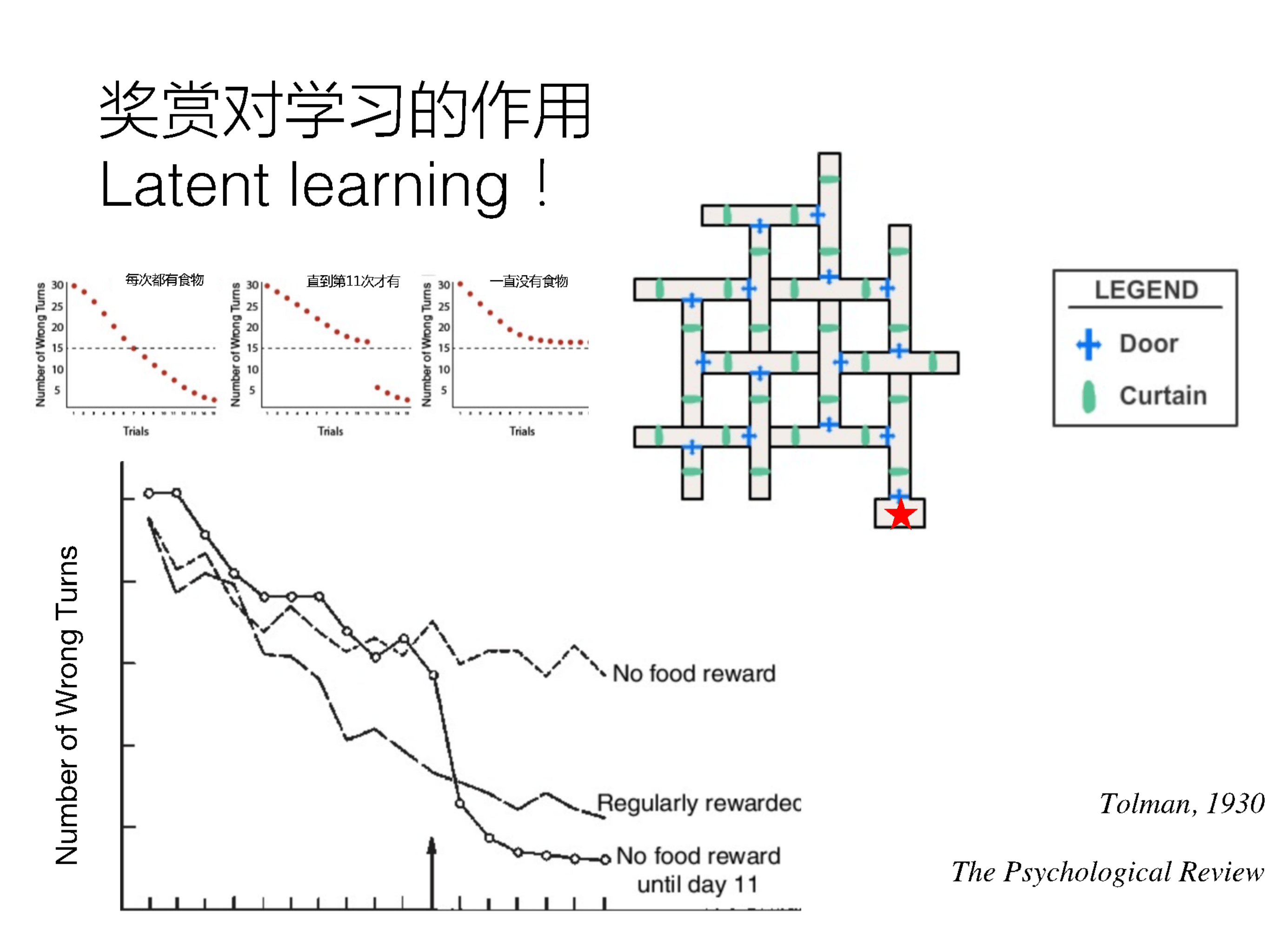 频繁使用GPS丧失方向感？清华大学陈霓虹：影响或可逆<strong></p>
<p>币安市值</strong>，可通过学习训练提升
