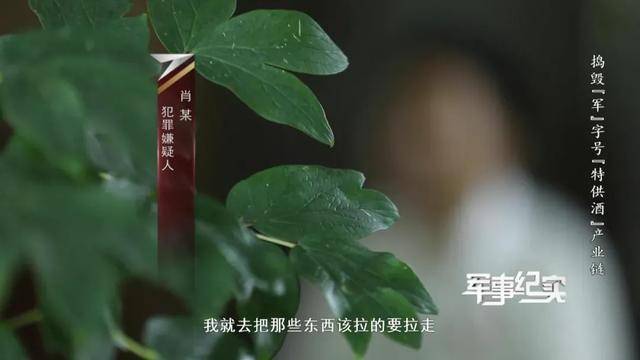 山东省军区、山东警方联合行动<strong></p>
<p>安币数字货币</strong>，7名犯罪嫌疑人被抓捕