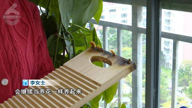 “可以蒸蛋”！昆明一女子家中搓衣板上长菌<strong></p>
<p>币安老板</strong>，品种竟是……