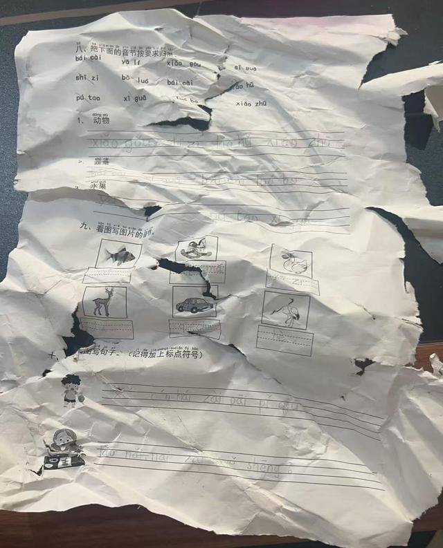 ​晚上回家发现语文作业被扫地机器人“吃”了<strong></p>
<p>币安老板</strong>，杭州小学生陷入纠结