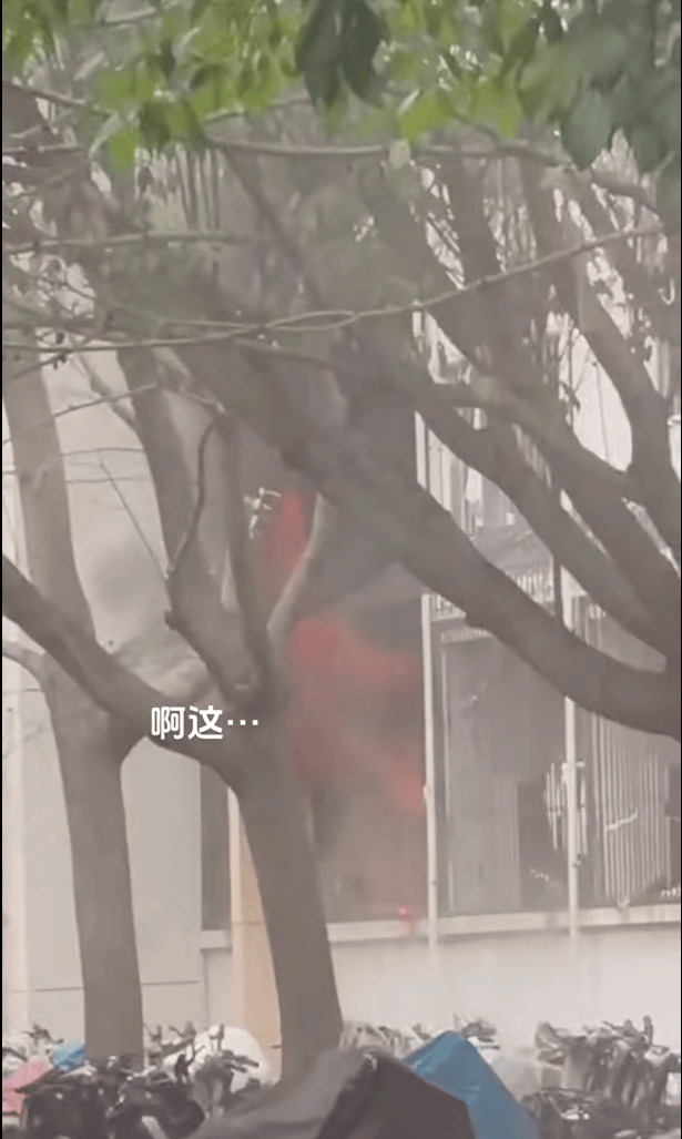 女生宿舍起火<strong></p>
<p>ieo币安</strong>，楼栋闸机成撤离“拦路虎”，警务室：刷脸是为保障安全
