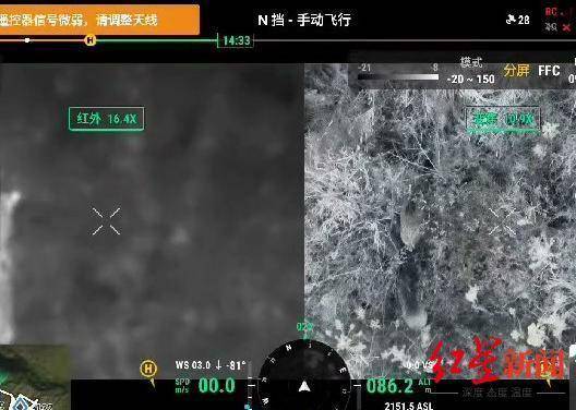 揭秘“野猪猎捕队”丨海拔3000米高山密林<strong></p>
<p>币安合约</strong>，记者跟队直击猎捕野猪全过程