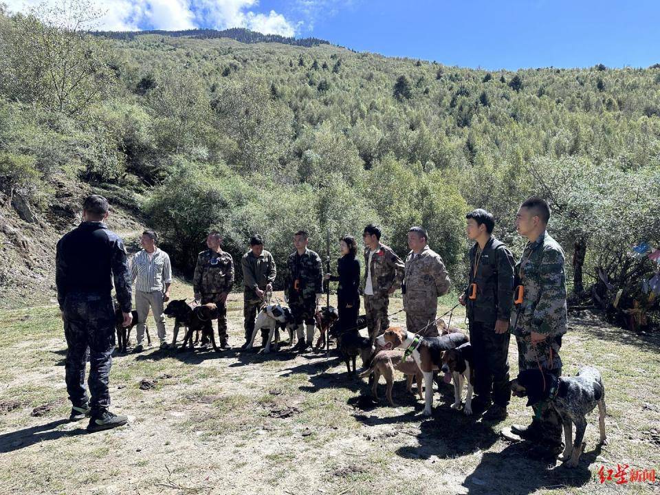 揭秘“野猪猎捕队”丨海拔3000米高山密林<strong></p>
<p>币安合约</strong>，记者跟队直击猎捕野猪全过程