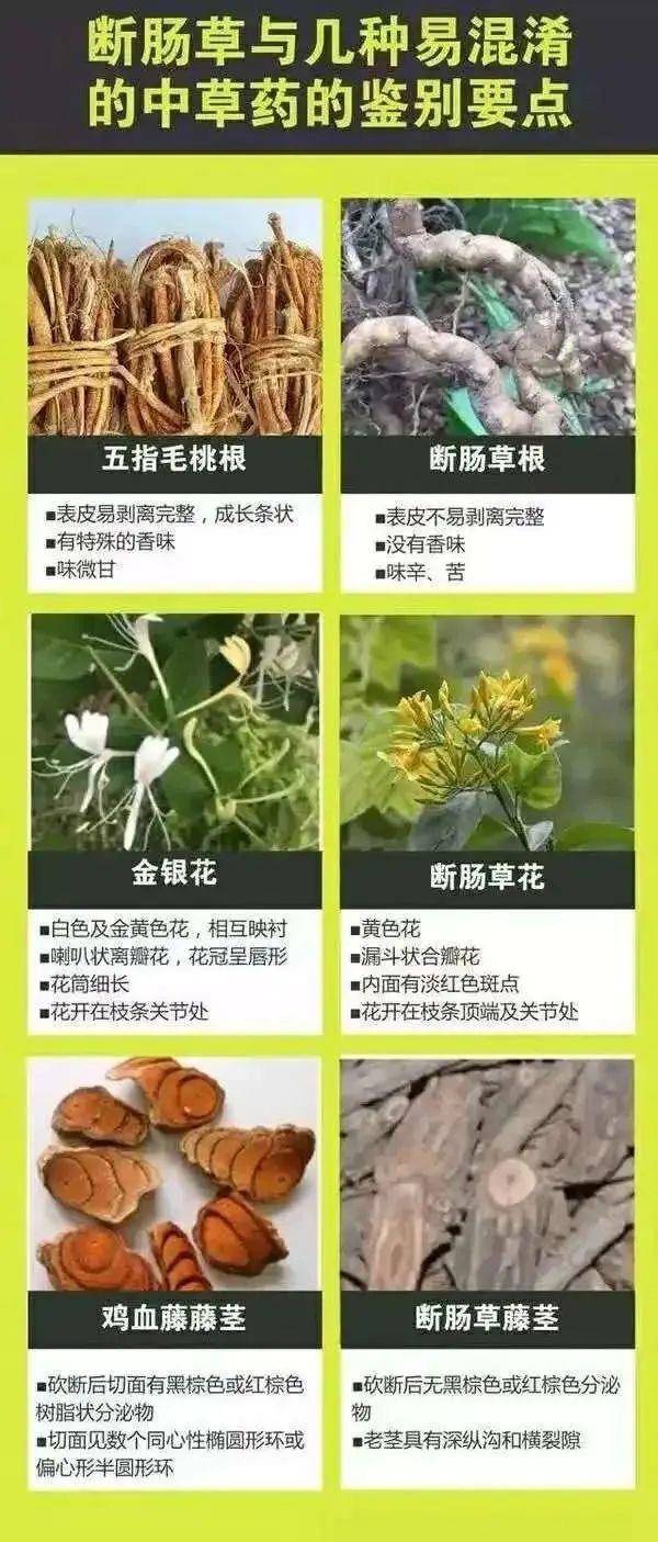 广东一老人买药材煲汤中毒身亡 当地：店铺误售断肠草<strong></p>
<p>币安比货币</strong>，老板被拘留