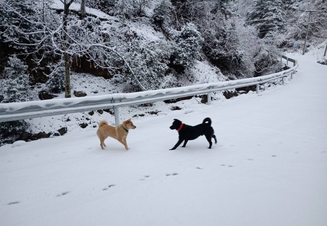 零下7℃<strong></p>
<p>安币集团</strong>！大到暴雪！刚刚确认：杭州又来一波猛的！周末出门千万注意.....