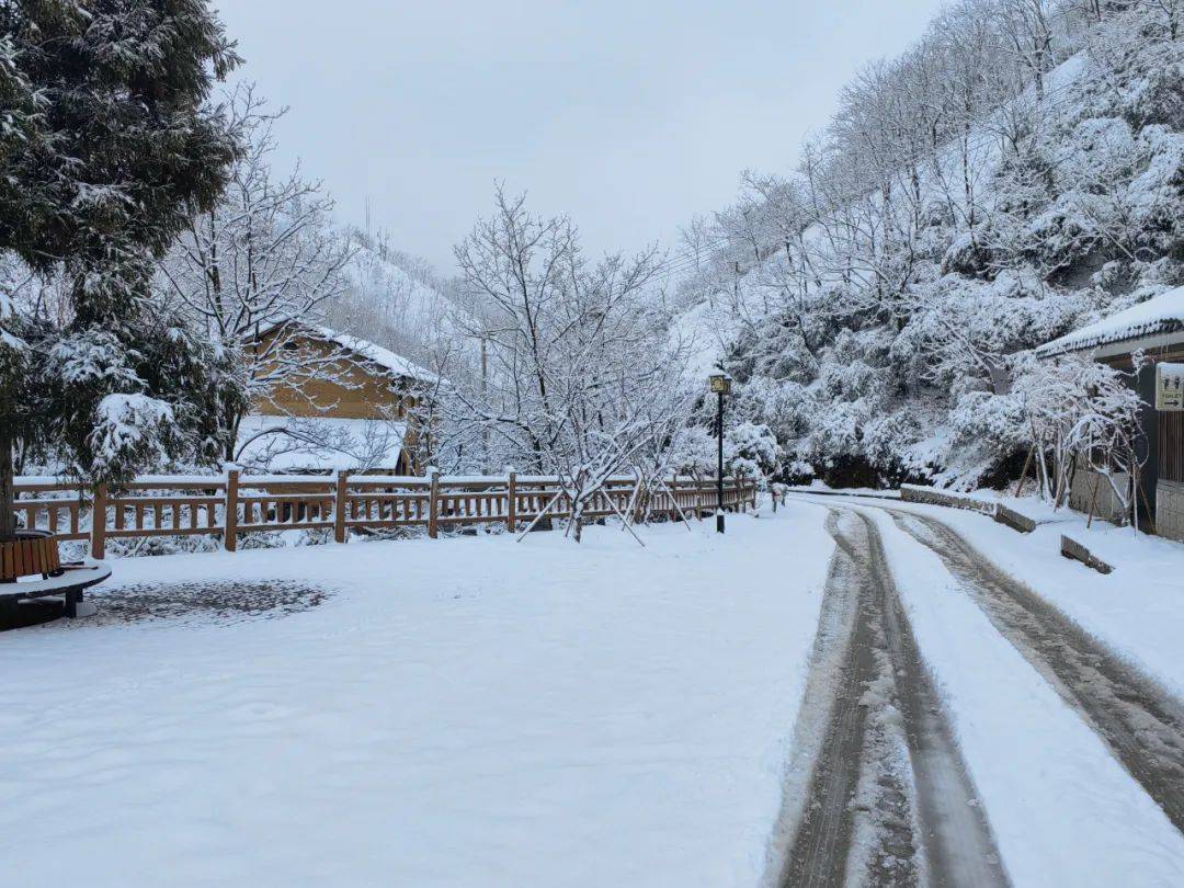 零下7℃<strong></p>
<p>安币集团</strong>！大到暴雪！刚刚确认：杭州又来一波猛的！周末出门千万注意.....