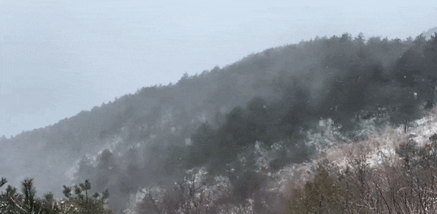 零下7℃<strong></p>
<p>安币集团</strong>！大到暴雪！刚刚确认：杭州又来一波猛的！周末出门千万注意.....