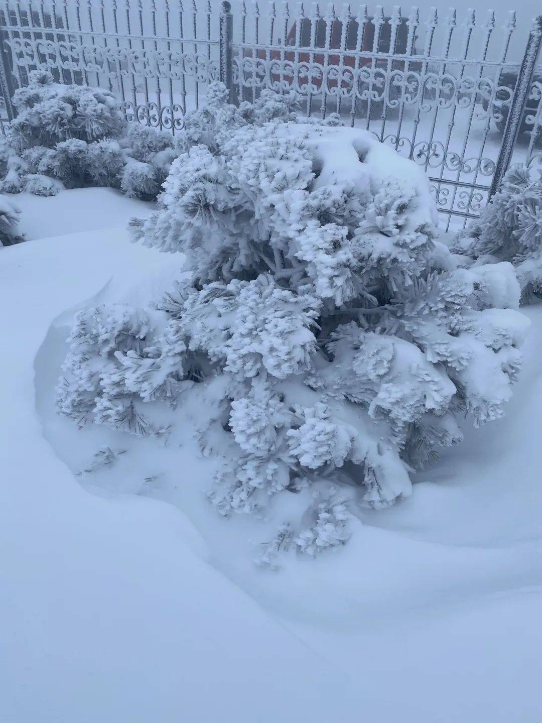 零下7℃<strong></p>
<p>安币集团</strong>！大到暴雪！刚刚确认：杭州又来一波猛的！周末出门千万注意.....