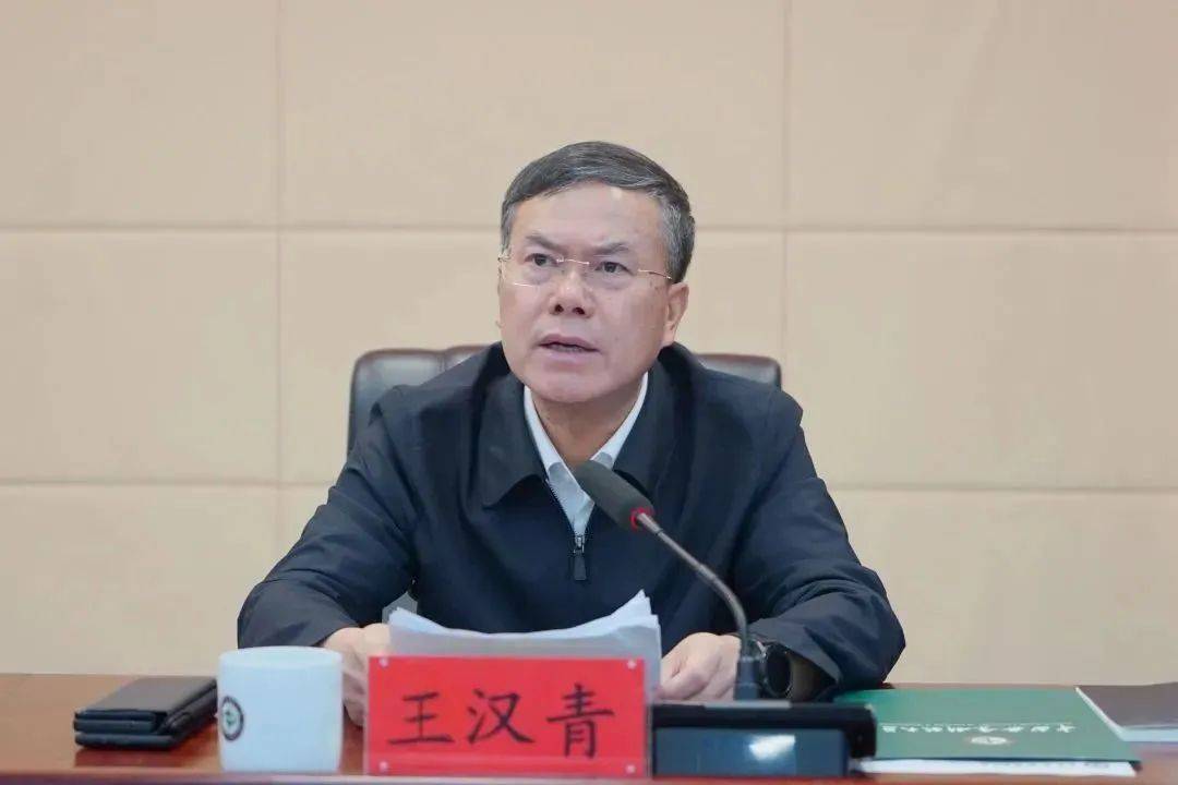 官宣<strong></p>
<p>安币集团</strong>！王汉青被查