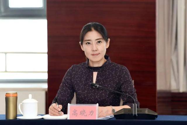 高晓力<strong></p>
<p>币安网下载</strong>，晋升副部