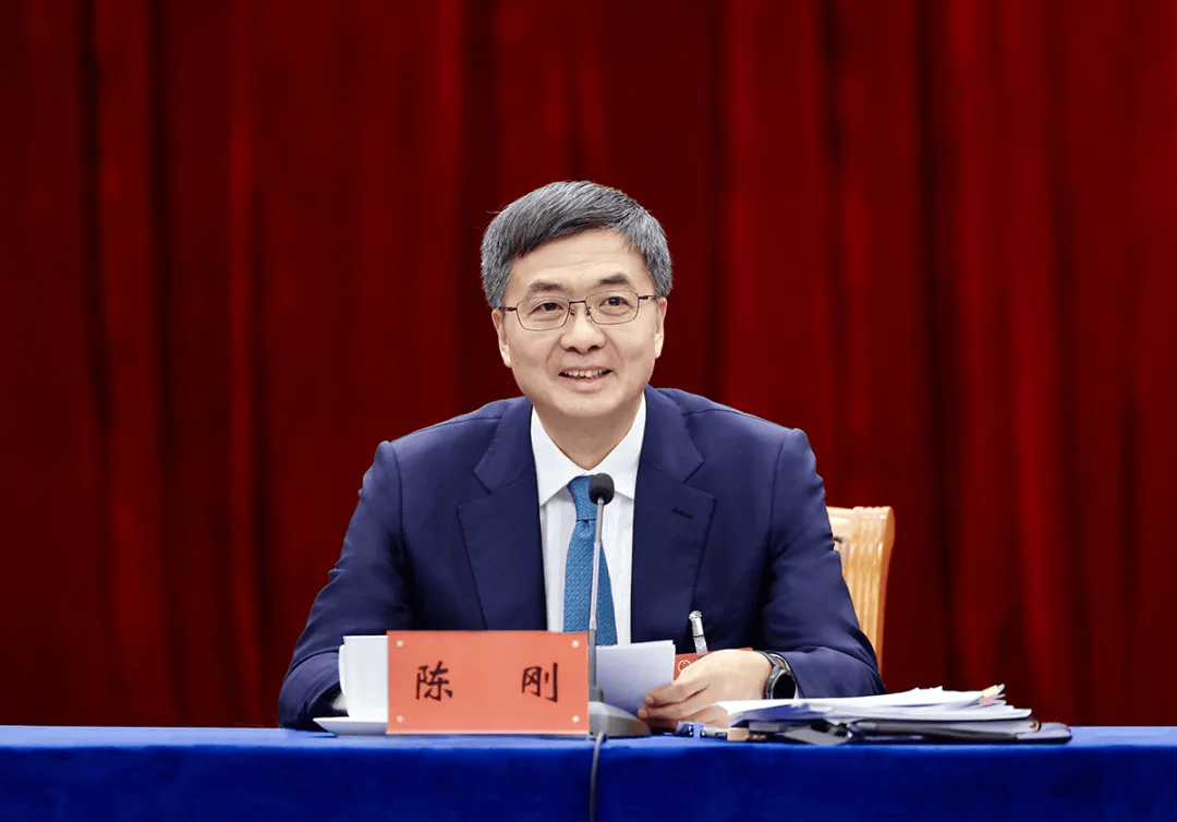 陈刚：缅北电信诈骗把我们坑得比较苦<strong></p>
<p>中币和安币</strong>，广西深受其害