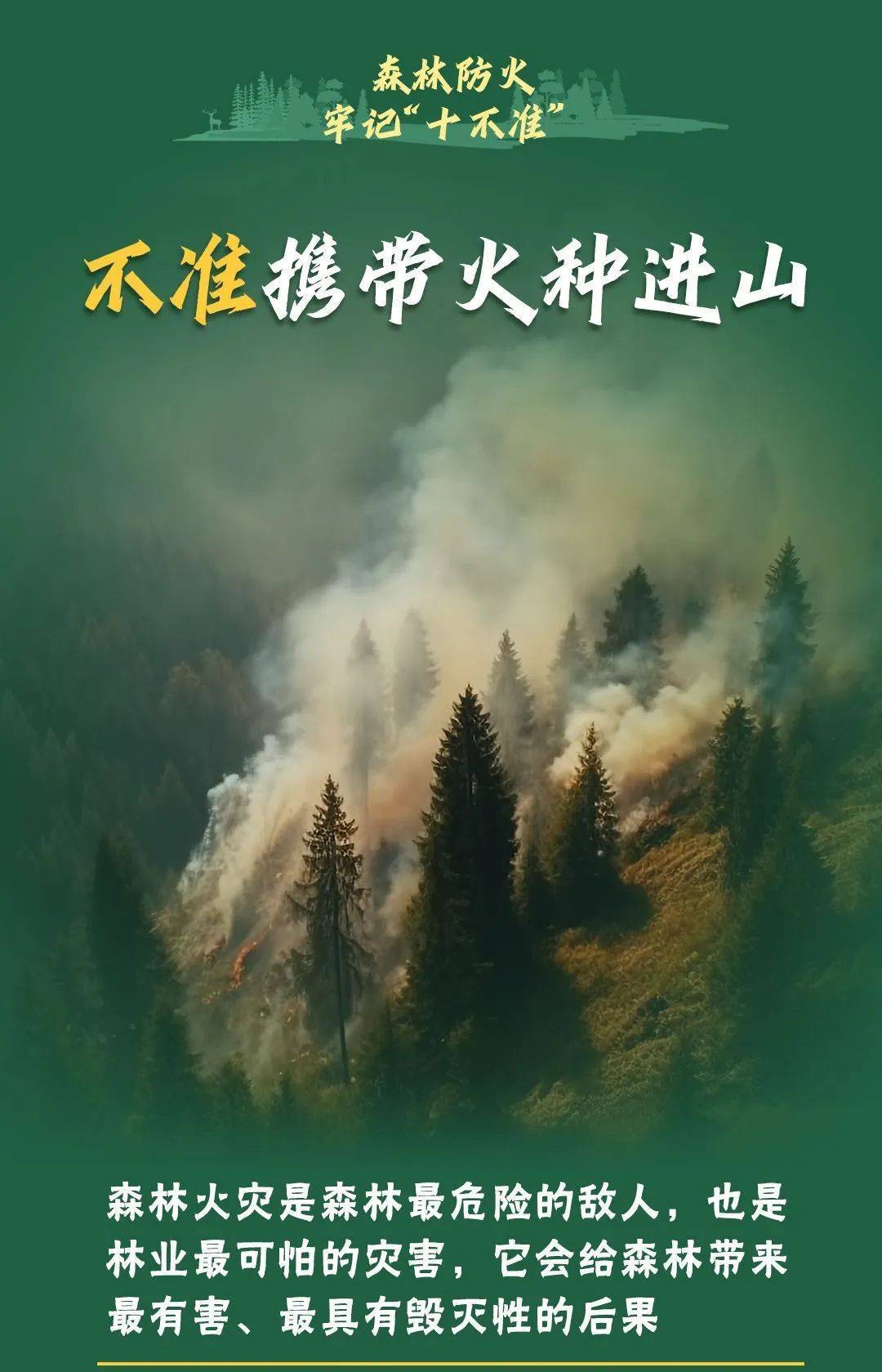 已致4名消防员遇难<strong></p>
<p>莱特币安卓挖矿</strong>！多地进入“灾难状态”