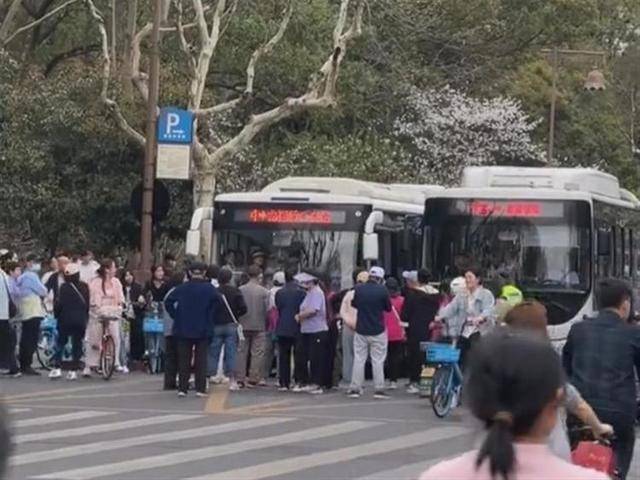 游客成队在杭州雷峰塔外堵路拦公交<strong></p>
<p>莱特币安卓挖矿</strong>，当地正实施交通管制，公交集团：已处置
