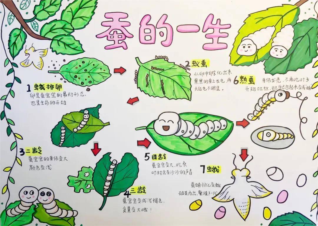 一年卖出1亿条虫！迷倒全国“10后”的小生意<strong></p>
<p>莱特币安卓挖矿</strong>，有人年入千万
