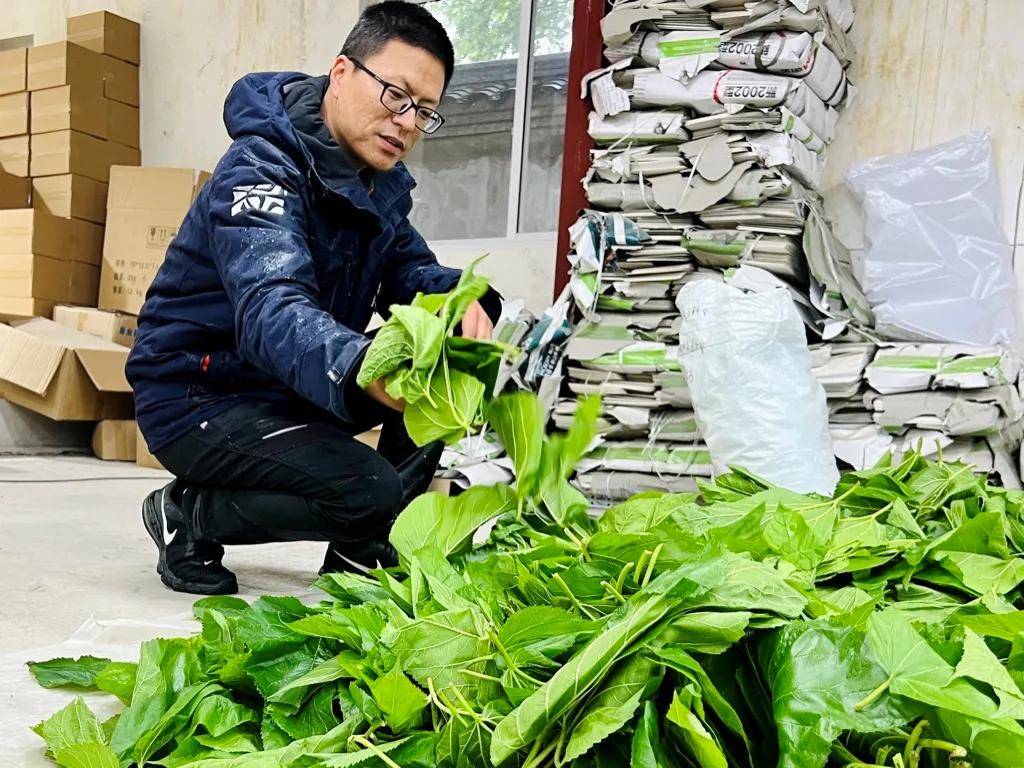 一年卖出1亿条虫！迷倒全国“10后”的小生意<strong></p>
<p>莱特币安卓挖矿</strong>，有人年入千万