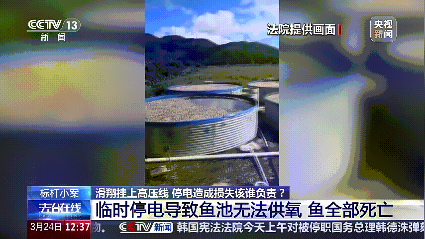 深圳女子被挂高压线！停电救援<strong></p>
<p>币安ftx</strong>，9池鱼死光！他怒上法庭……