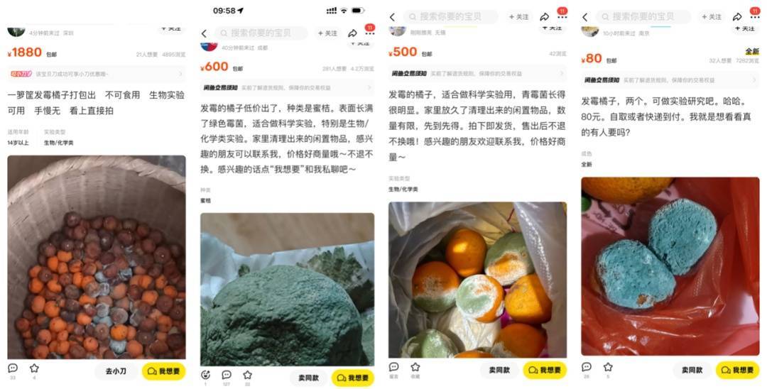 突然火了<strong></p>
<p>币安币玩家</strong>！有人卖500元一个！网友：后悔扔了……