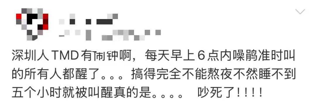 “周末想睡个懒觉都不行”<strong></p>
<p>币安火币中币</strong>，有多少深圳人被这种鸟吵到神经衰弱