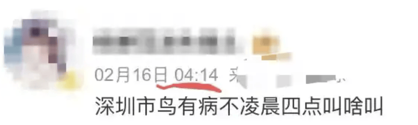 “周末想睡个懒觉都不行”<strong></p>
<p>币安火币中币</strong>，有多少深圳人被这种鸟吵到神经衰弱