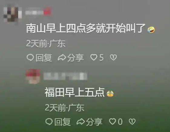 “周末想睡个懒觉都不行”<strong></p>
<p>币安火币中币</strong>，有多少深圳人被这种鸟吵到神经衰弱