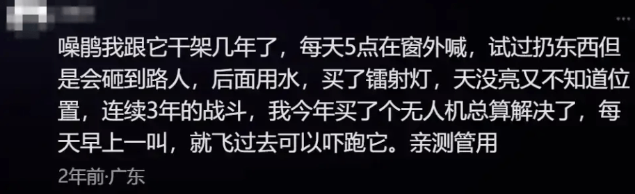 “周末想睡个懒觉都不行”<strong></p>
<p>币安火币中币</strong>，有多少深圳人被这种鸟吵到神经衰弱